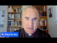 Experts address Virginia’s life and marriage ballot questions on webinar
