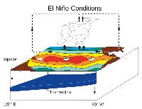 El Nino and Our Collective Climate