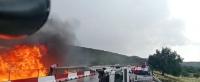 VIDEO: Crane crashes into barrier and catches fire in Mexico, leaving five injured