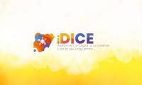 Applications Open for iDICE Skills-to-Jobs Program Targeting 50,000 Young People Across North-Central Nigeria
