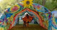 Monarch Festival returns to Brackenridge Park, highlighting San Antonio’s role in wildlife migration