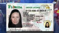 Florida reveals redesigned driver licenses highlighting state history