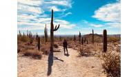 She Left Minnesota for Arizona on November 1. Without a Traveler Benefit, Her Medicare Advantage Plan Will Drop Her June 1