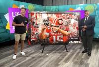 Delphi artist Nick Mendel created unique IU football art to support MS Society