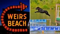 Free Fall Festival At NH’s Weirs Beach Brings Dogs And Community Together