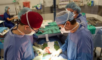 4 in 10 liver transplant recipients aren’t vaccinated against hepatitis B, researchers report