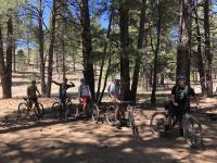 Five Ways Flagstaff’s Outdoors Can Support a Healthier Life