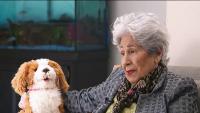 Robotic pets are helping older adults find companionship