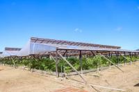 Technology driving agricultural expansion in Guyana – Min Mustapha