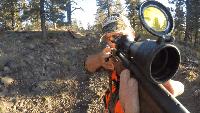 Missouri deer hunters face new hunting regulations amid changes made by MDC