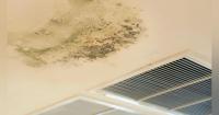 Virginia district relocates classrooms after elevated mold spores detected