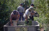 Attack on bus in Syria kills seven: state news agency