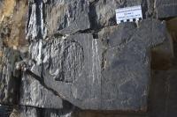 Stone Age sites identified in Uzbekistan’s Jizzakh region