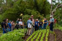 Growing together: Agroecology community strengthens ties in Latin America 