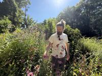 New Hampshire gardeners turn yards into habitats to restore local ecosystems