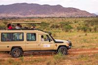 Small groups, close encounters: Bunnik Tours’ approach to Africa unpacked