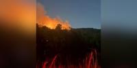 Alabama Forestry shares update on Oak Mountain State Park fire