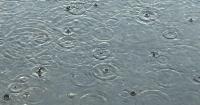 Flood Disaster Declared