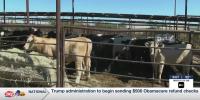 Texas Farm Credit official highlights East Texas agriculture’s challenges at Tyler luncheon