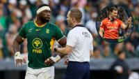 Ex-Irish ref boss: Australia and New Zealand’s officiating ‘virus’ cannot be ‘allowed to spread’