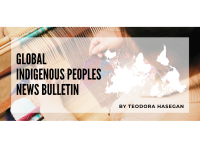 Global Indigenous Peoples News Bulletin #20 (September 2026)