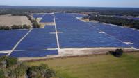Byron Donalds says ‘its a fad,’ but Florida utilities are expanding solar