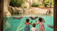 Health officials warn of measles exposure to visitors at Fort Wayne Zoo