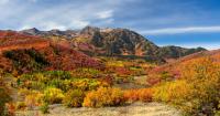 Here are the best times and places to view Utah's fall foliage in 2026