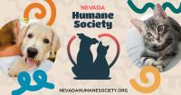 Nevada Humane Society hosts annual Paws & Programs open house
