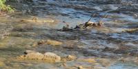 Rapid City Braces for Lower Rapid Creek Flows This Winter