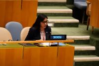 Indonesia pushes back against renewed Papua scrutiny