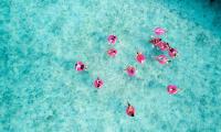 The Standard, Maldives brings candy land to life for festive season 2026