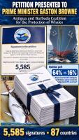 Coalition delivers 5,585-signature petition urging PM to withdraw whaling resolution