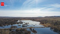 New Mexico researchers use drone images to train AI to count ducks, geese and cranes; early tests show 95% detection accuracy