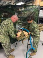 Navy Medicine personnel train patient transport capabilities at Naval Medical Center Camp Lejeune