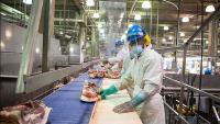 Smithfield workers speak out against deadly conditions after death of Patou Mpinda in Illinois meatpacking plant