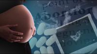 BFLA Challenges Barriers to Abortion Access in Belize
