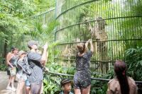 Investigation finds animal welfare concerns at Bali wildlife attractions