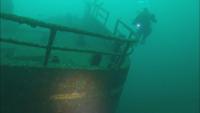 Smuggler's ship bringing new life to Killala Bay seabed