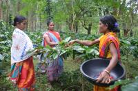 World Coffee Day October 1: Why for Indian aficionados it’s time to look beyond traditional home brews