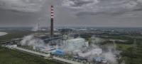 Between Ambition and Trust: Tracking Southeast Asia’s Climate Transition