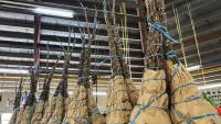 Yaqona farmers and stakeholders get another opportunity to make submissions on Kava Bill