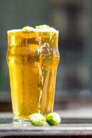 Europe’s Oldest Beer Produced in Bulgaria