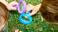 Free nationwide programme to help education settings boost biodiversity and nature learning
