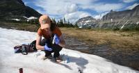 Outdoor lab: Researchers tap into Glacer's snowfields to uncover mystery of colorful algae