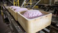 Australia's Lynas Rare Earths to buy Meteoric Resources for $672m