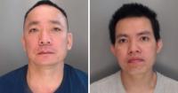 Vietnamese pair face deportating after tending 814-plant County Durham cannabis farm