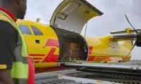 DHL supports Gorilla relocation from Nigeria to Congo