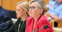 Key alliance deliberately vague on military game plan