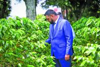 Agriculture Month 2026: Pres Ali targets Caribbean food capital status as Guyana ramps up agriculture